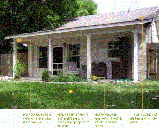 Abe Louise Young loves her house in Austin’s East Side despite all its faults.